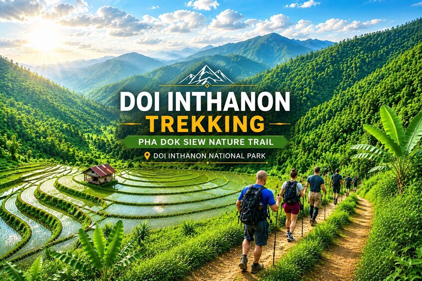 Picture 16 for Activity Chiang Mai: Doi Inthanon Trip with Pha Dok Siew Guided Trek 3