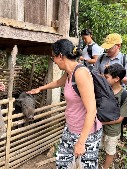 Picture 2 for Activity Chiang Mai: Doi Inthanon Trip with Pha Dok Siew Guided Trek 2