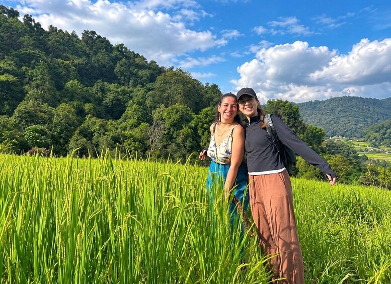 Chiang Mai: Doi Inthanon Trip with Pha Dok Siew Guided Trek 1