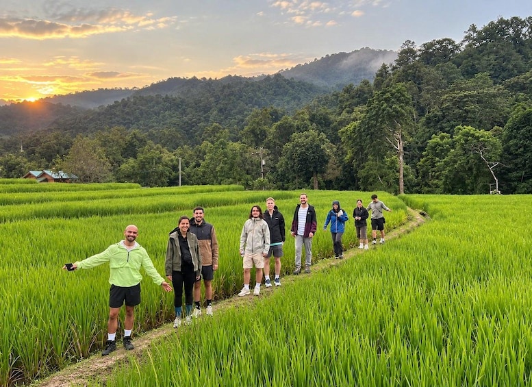 Chiang Mai: Doi Inthanon Trip with Pha Dok Siew Guided Trek 1