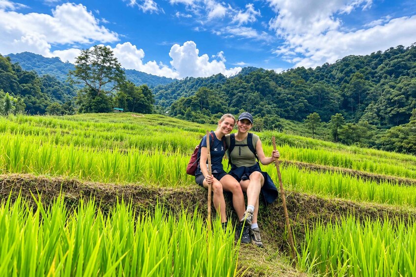 Chiang Mai: Doi Inthanon Trip with Pha Dok Siew Guided Trek 1