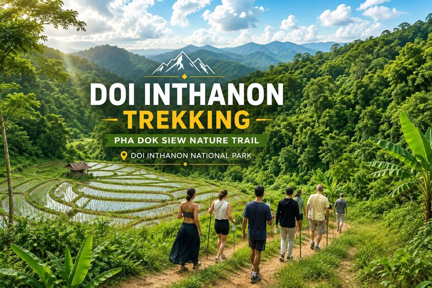 Picture 8 for Activity Chiang Mai: Doi Inthanon Trip with Pha Dok Siew Guided Trek 4