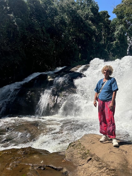Picture 131 for Activity Chiang Mai: Doi Inthanon Trip with Pha Dok Siew Guided Trek 5