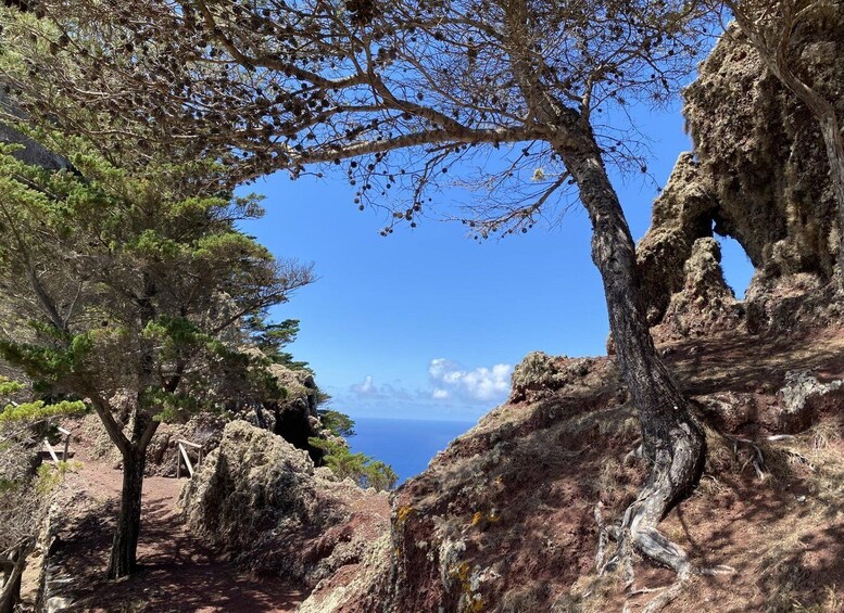 Picture 5 for Activity Porto Santo - UNESCO Biosphere Reserve - Guided Walking Tour 4