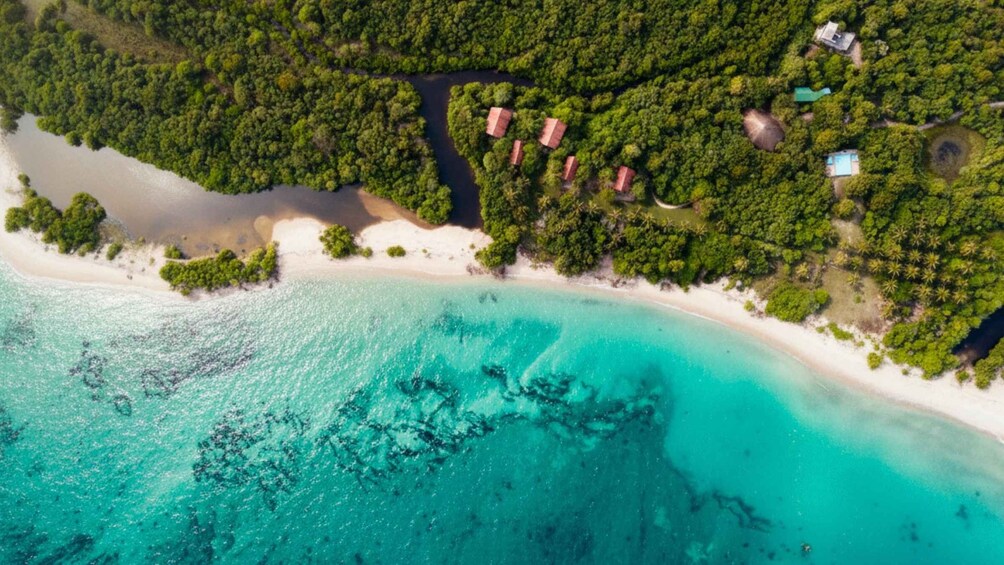 A tropical beach with clear turquoise waters, a sandy shore, and several small buildings surrounded by dense greenery. 1