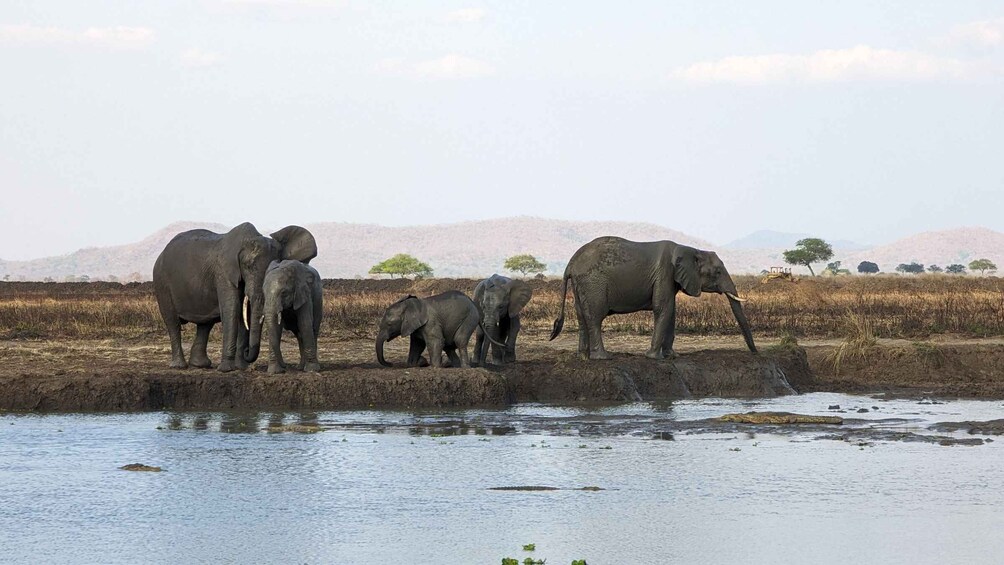 Picture 10 for Activity Arusha: 4-Day Serengeti & Ngorongoro Crater Safari 2