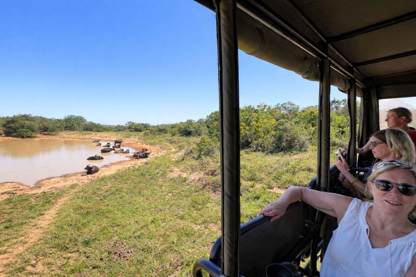 En safaribil med utsikt över en vattenplats där vilda djur samlas. 2