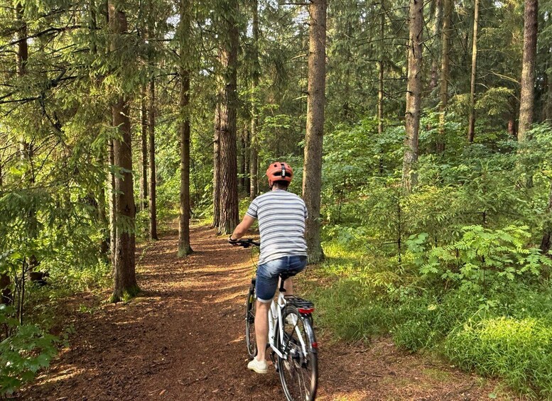 A person riding a bicycle on a forest trail surrounded by tall trees. 5