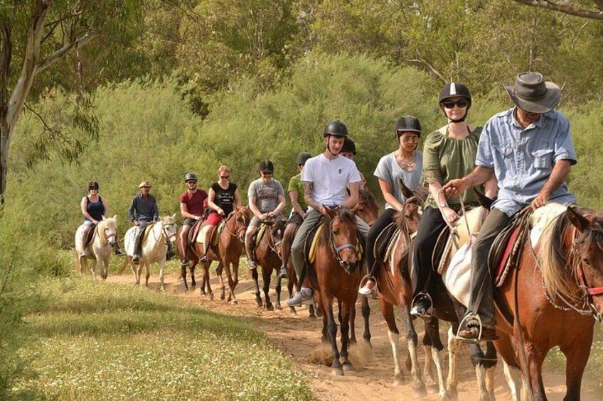 Un grupo de personas montando a caballo por un sendero de tierra rodeado de vegetación. 4