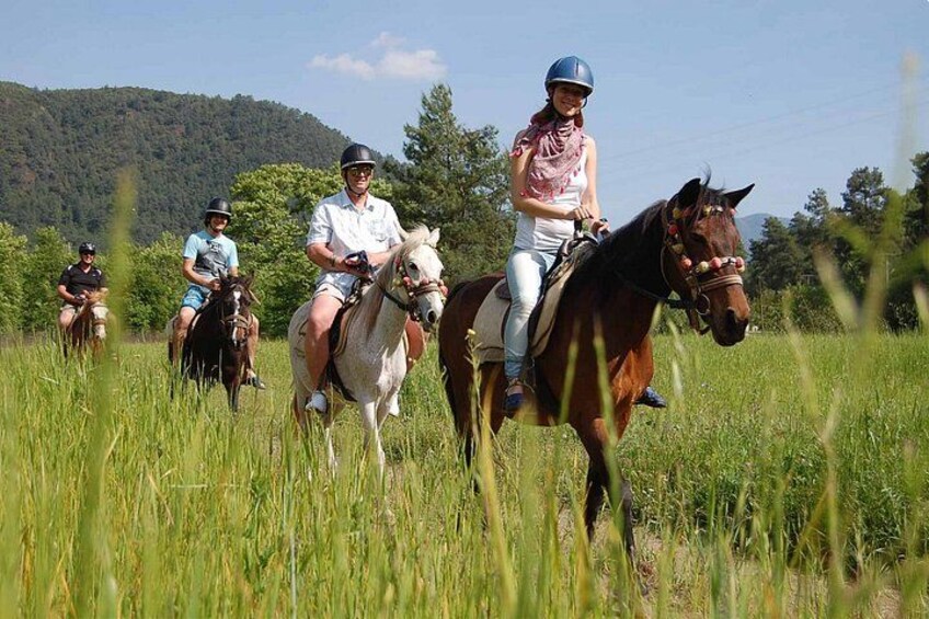 Un grupo de personas montando caballos en un campo de hierba, con árboles al fondo. 2