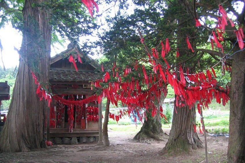A traditional wooden structure surrounded by large trees with red decorations hanging from the branches. 4