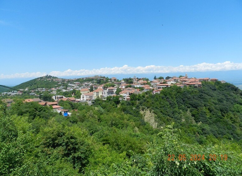 Picture 24 for Activity Day trip in Kakheti-Beauty and Love in a Glass Wine 2