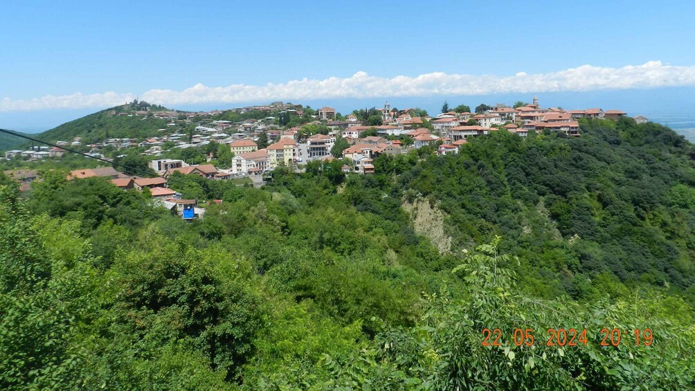 Picture 24 for Activity Day trip in Kakheti-Beauty and Love in a Glass Wine 2