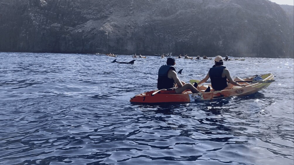 Two people kayaking on a calm body of water with rocky cliffs in the background. 5