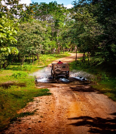 A vehicle driving on a dirt road through a forested area. 2