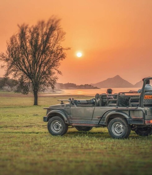 A jeep parked on grass with a sunset in the background. 3