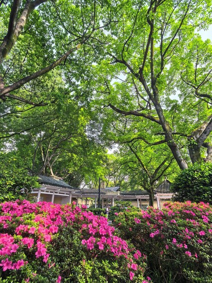 A traditional pavilion with a tiled roof, surrounded by lush green trees and vibrant pink azaleas. 2