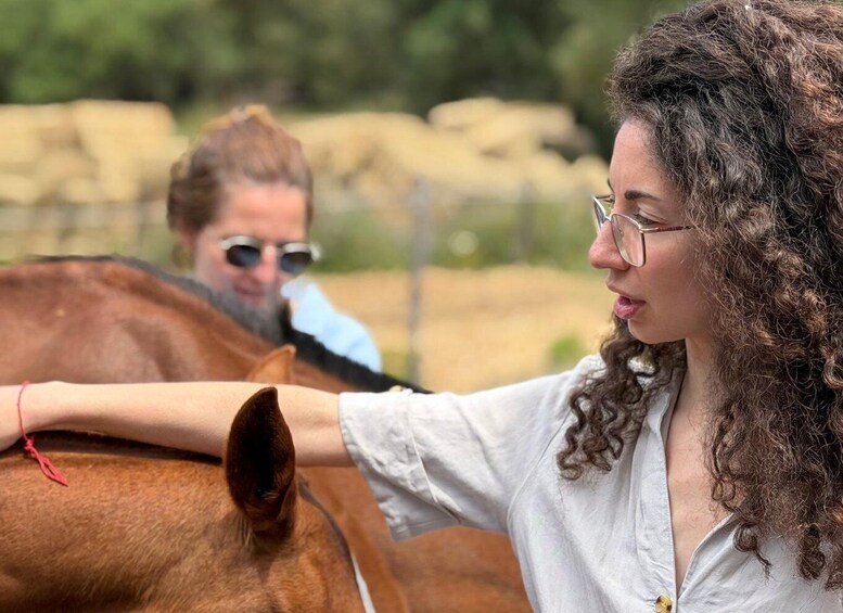 Picture 1 for Activity Relax & Mindfulness with Horses in Vejer de la Frontera 2