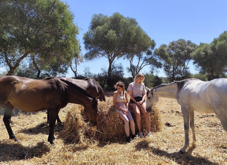 Picture 4 for Activity Relax & Mindfulness with Horses in Vejer de la Frontera 3