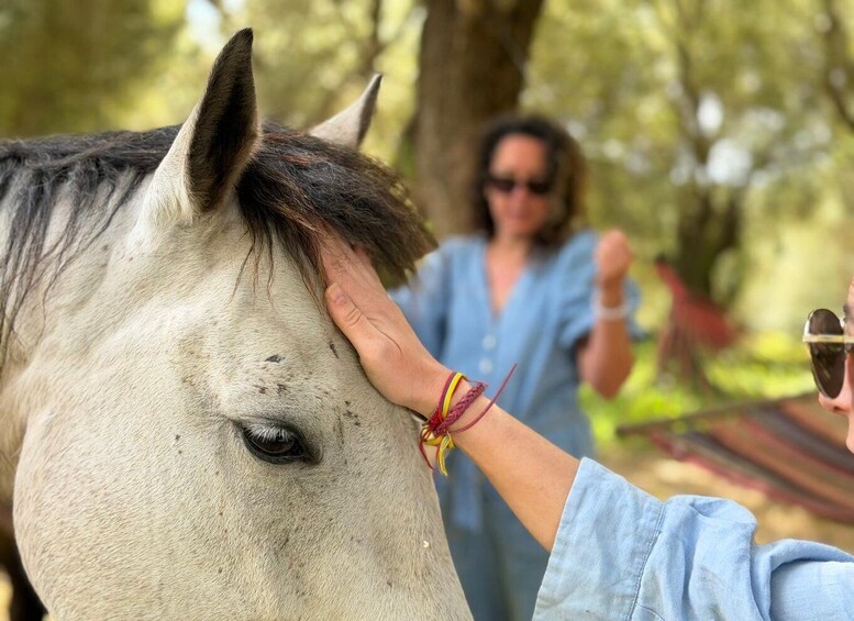 Picture 3 for Activity Relax & Mindfulness with Horses in Vejer de la Frontera 4