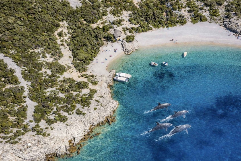 Picture 2 for Activity Mini Blue Lagoons Adventure – Hidden Bays of Cres Island 2