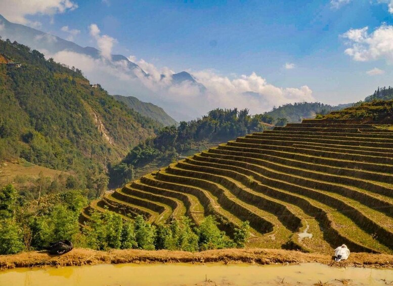 Picture 7 for Activity From Hanoi: 2-Day Sapa Trek to Lao Chai, Cat Cat & Fansipan 2