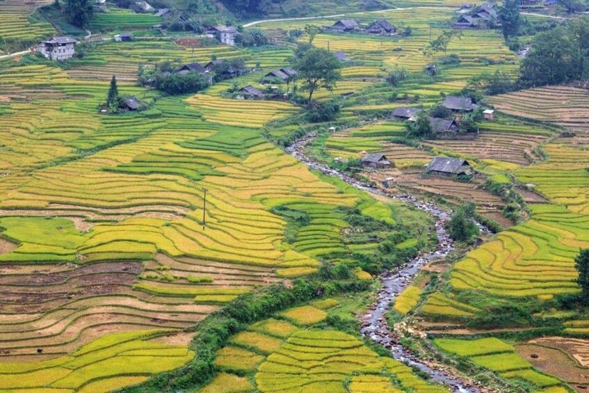 Picture 3 for Activity From Hanoi: 2-Day Sapa Trek to Lao Chai, Cat Cat & Fansipan 3