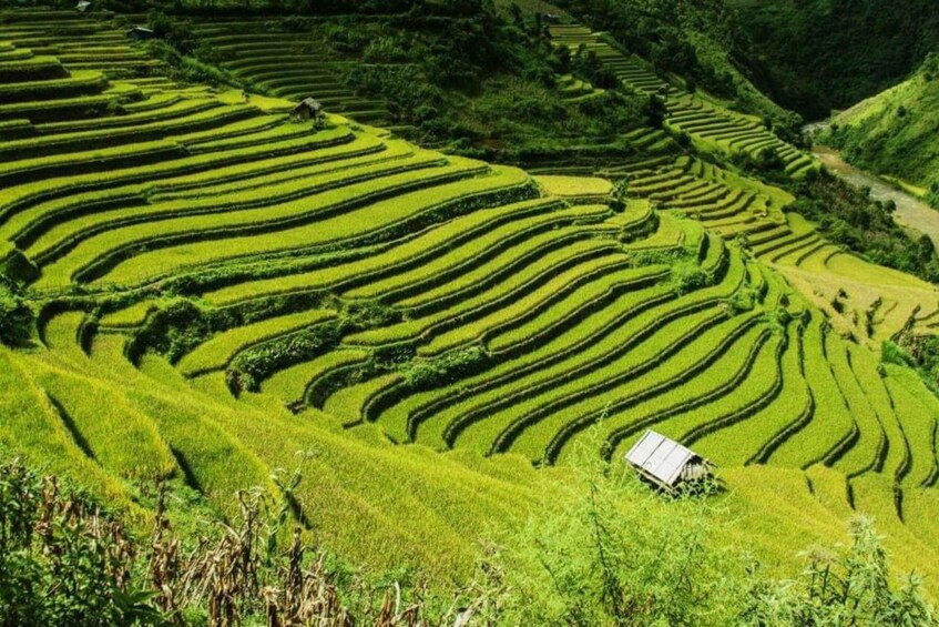 From Hanoi: 2-Day Sapa Trek to Lao Chai, Cat Cat & Fansipan 5