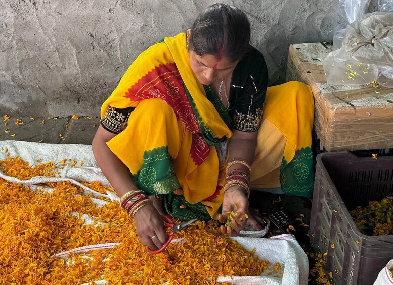 A person sorting orange flower petals on a cloth. 4