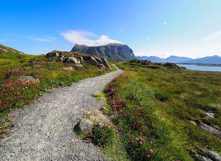 Picture 3 for Activity Molde - Get a feeling of the Atlantic Ocean 2