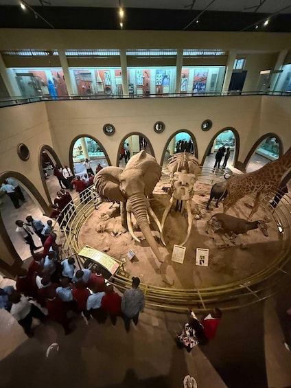 Museo, jossa on laaja dinosaurusten näyttely ja jonka ympärillä on holvikaaria. 4