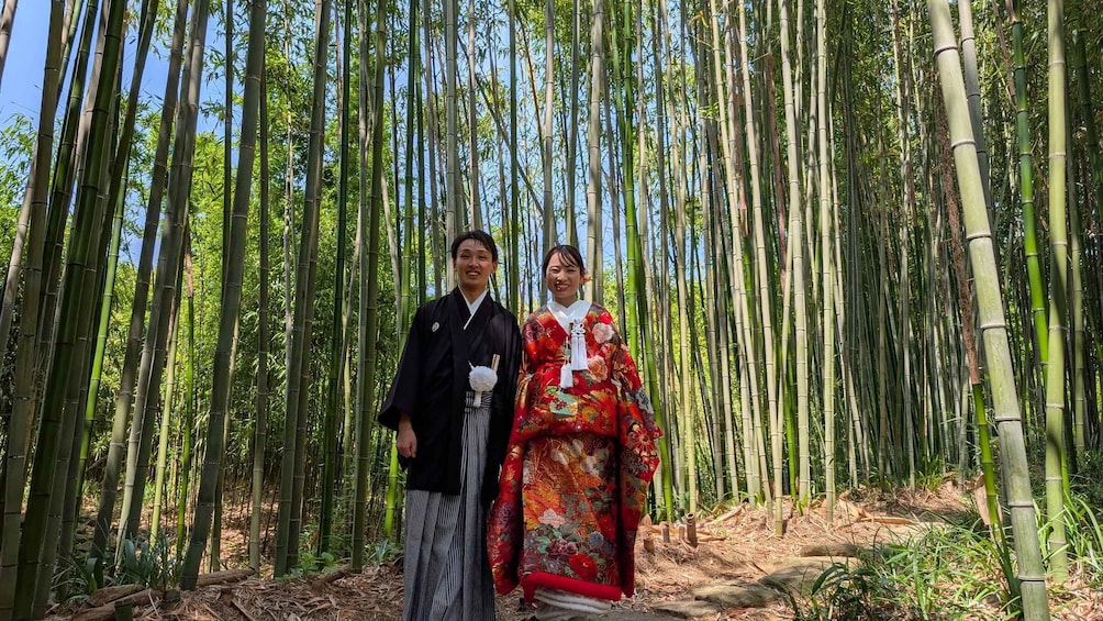Picture 5 for Activity Kyoto E-bike 5 or 7 hrs Bamboo Forest Cycling Tour, & Lunch 2