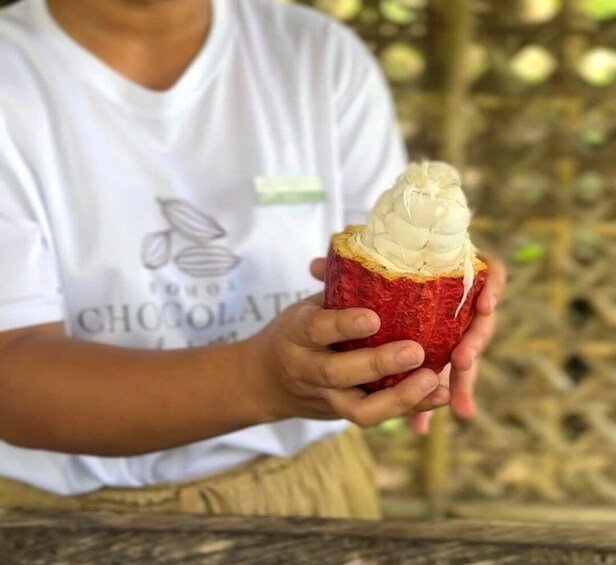 Bohol Chocolate Making and Farm Tour 3