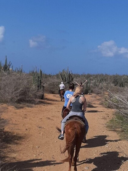 A dirt path with riders on horses. 3