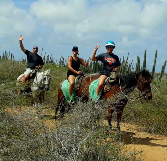 Three people riding horses on a dirt path surrounded by cacti. 1