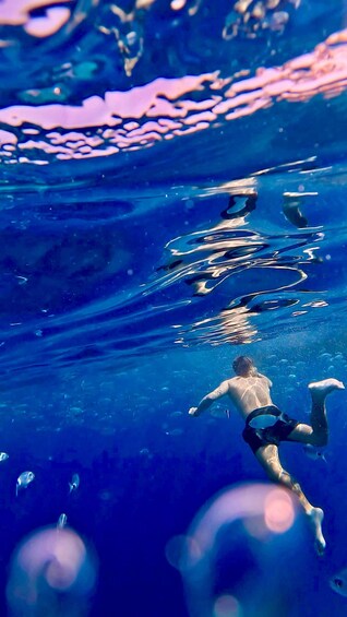 Picture 7 for Activity San Vito lo Capo:Boat tour Zingaro & Scopello. 12 people max 5