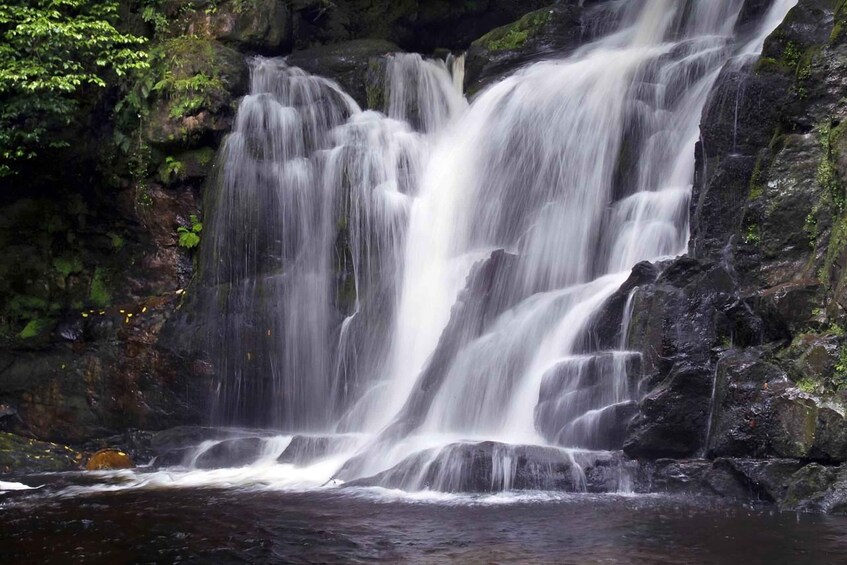 Torc waterfall & mountain hike. Kerry. Private guided. 1