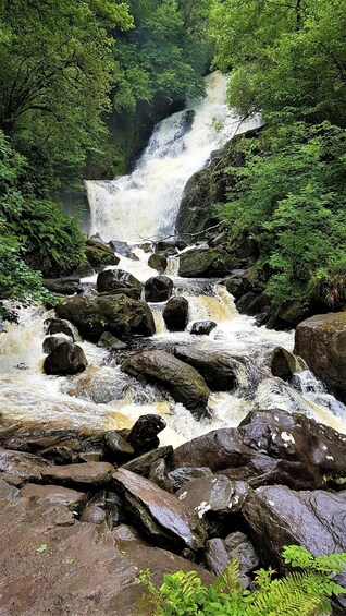 Picture 4 for Activity Torc waterfall & mountain hike. Kerry. Private guided. 5