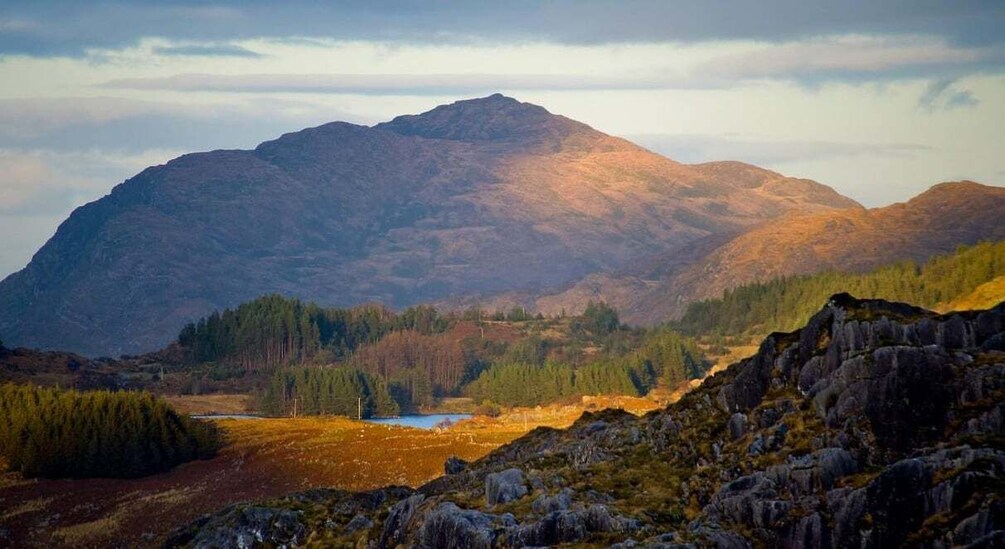 Picture 6 for Activity Torc waterfall & mountain hike. Kerry. Private guided. 4