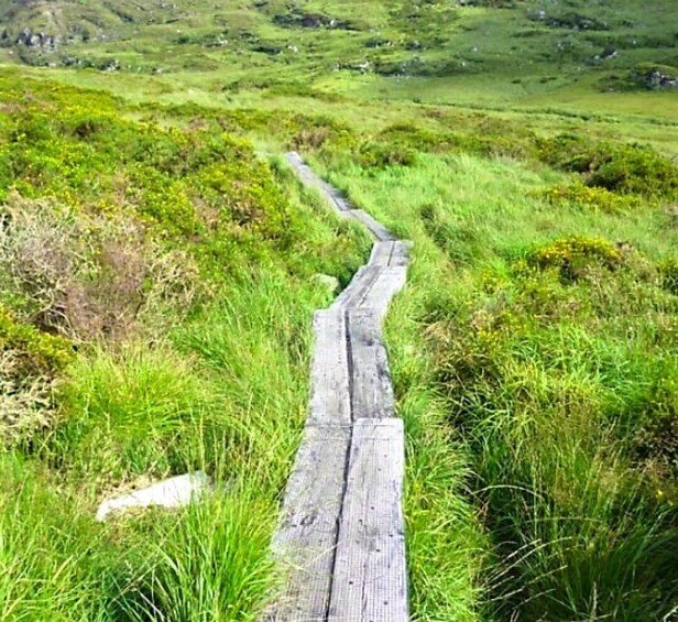 Picture 2 for Activity Torc waterfall & mountain hike. Kerry. Private guided. 3