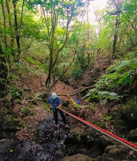 A person rappelling down a forested slope with a red rope. 3