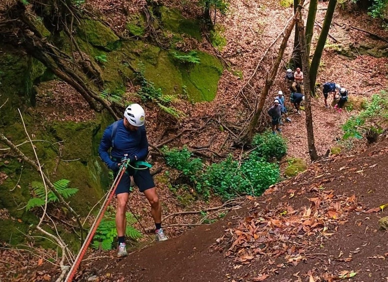 A person rappelling down a rocky cliff in a forested area. 5