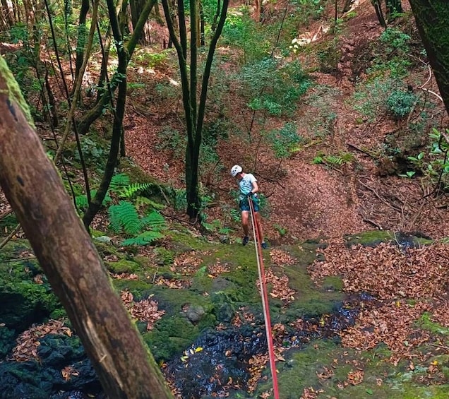 A person hiking in a forest with a red rope trail. 4