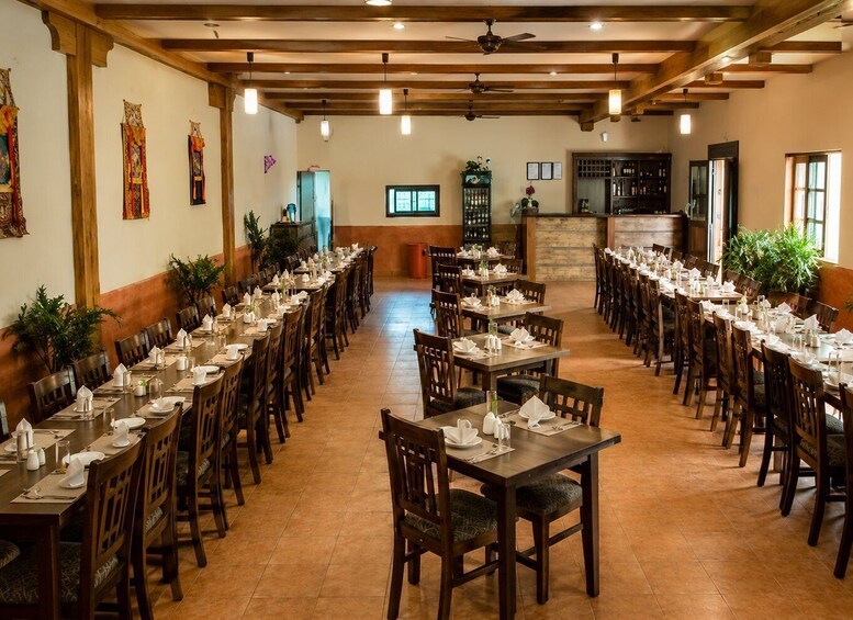 A restaurant with wooden tables and chairs, a bar area, and decorative plants. 5