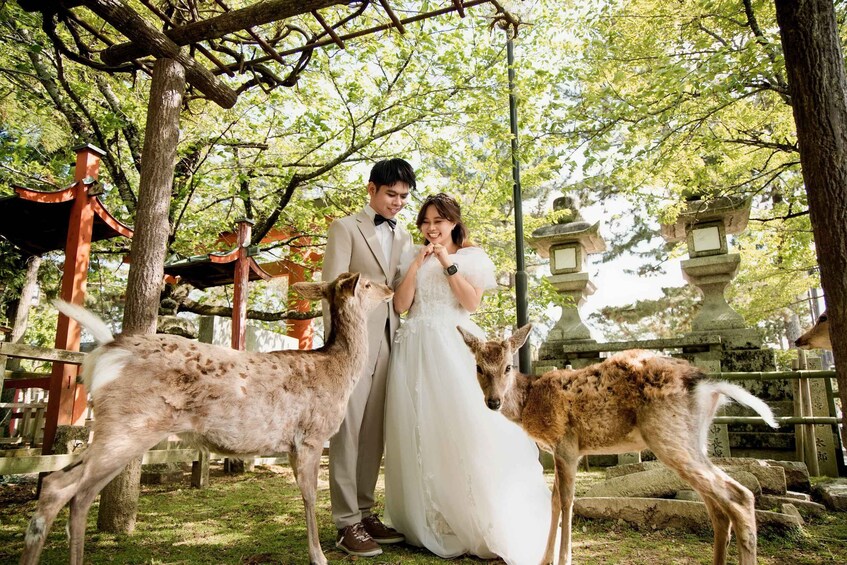 Picture 2 for Activity Kyoto & Nara: Private Pre-Wedding Photoshoot with Kimono 4