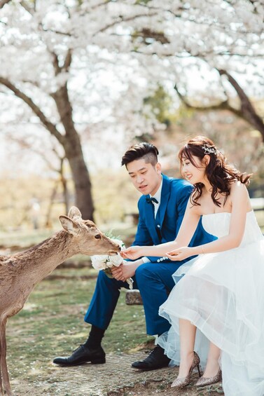 Picture 5 for Activity Kyoto & Nara: Private Pre-Wedding Photoshoot with Kimono 5