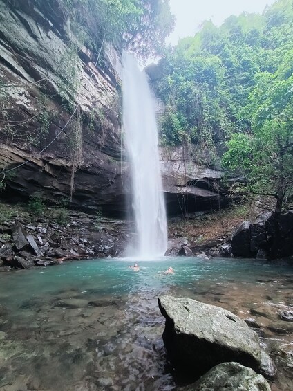 A waterfall in a forested area with clear water at the base. 1