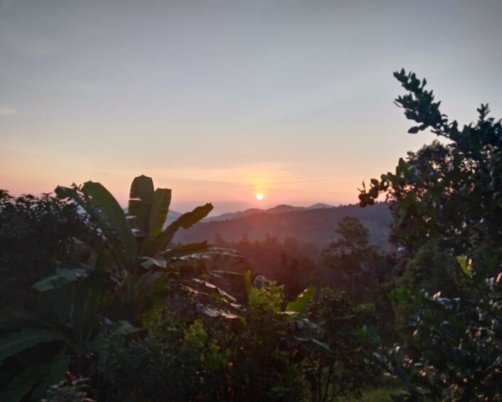 A sunset over a mountainous landscape with dense vegetation in the foreground. 2