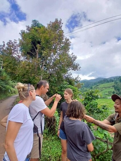 A group of people standing on a road with a mountainous landscape in the background. 1
