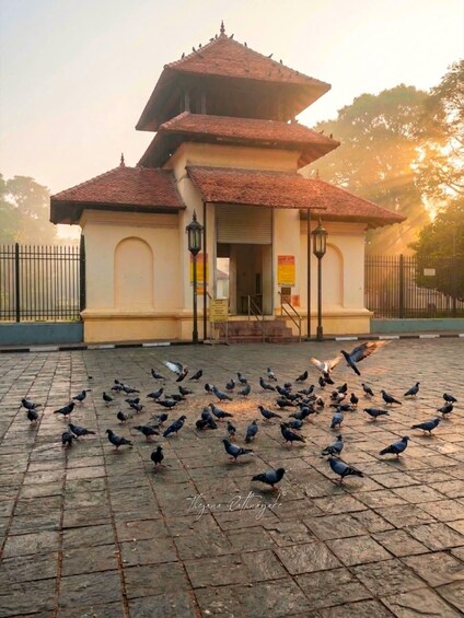 Picture 10 for Activity Kandy: City Tour with Temple of the Tooth & Tea Garden 2